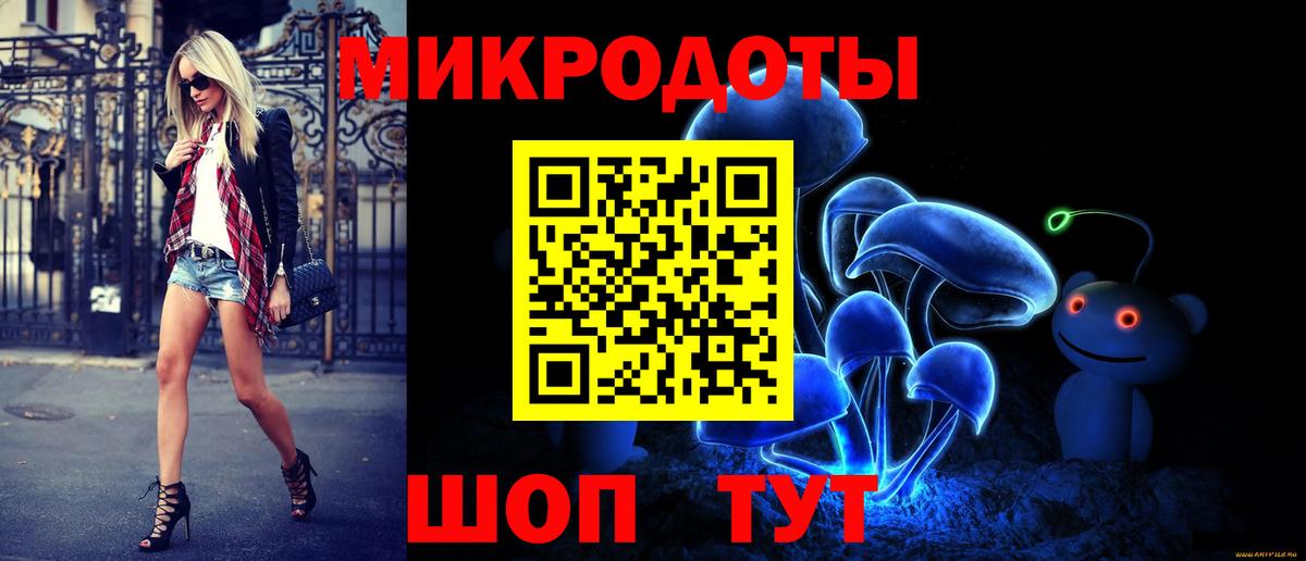 Галлюциногенные грибы Psilocybe Усть-Джегута