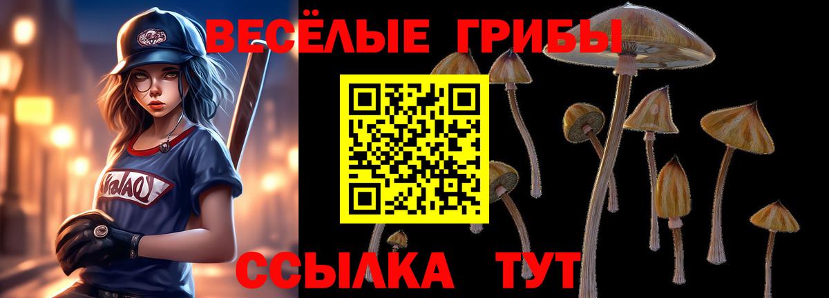 Усть-Джегута  Псилоцибиновые грибы мухоморы  Псилоцибиновые грибы MAGIC MUSHROOMS  Вход с VPN 