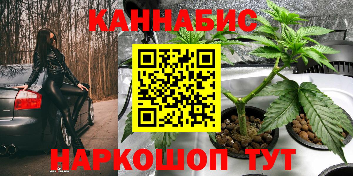 Конопля White Widow Усть-Джегута